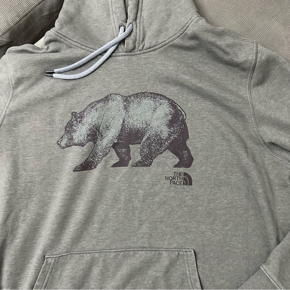 THE NORTH FACE HOODIE SWEATSHIRT MENS XL GRAY WITH BEAR GRAPHIC - Picture 3 of 7